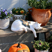 Estatueta Gato Relax