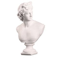 Estátua Grega Apolo