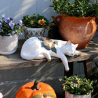 Estatueta Gato Relax